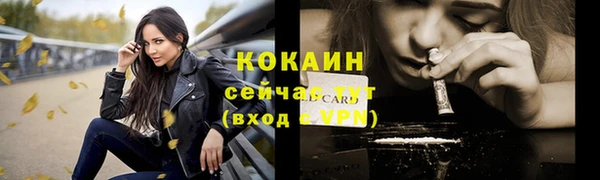 молекула духа Приозерск