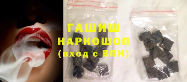 индика Струнино