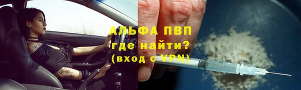 молекула духа Приозерск