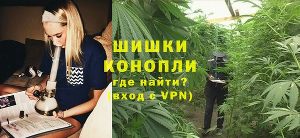 крисы Покачи