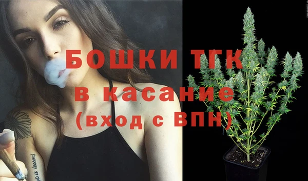крисы Покачи