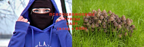 а пвп мука Пролетарск